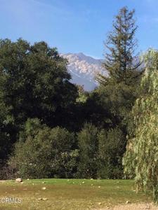 12140 Macdonald Drive
