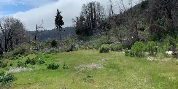 35500 Loma Chiquita Road