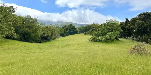29 Arroyo Sequoia