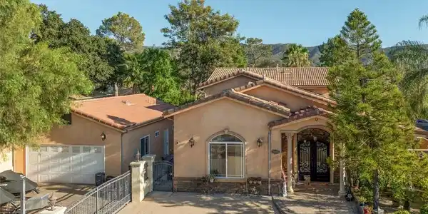 10610 Oak Tree