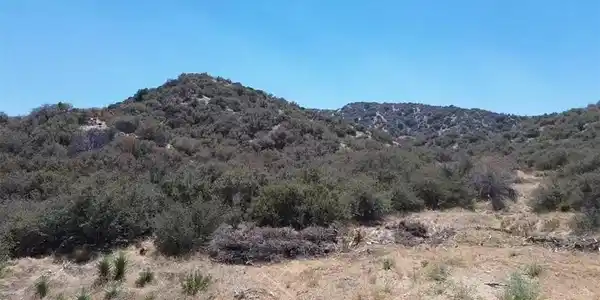 0 Mountain Springs Road