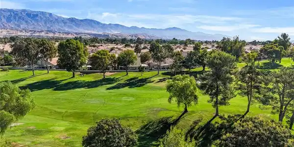 1560 Pine Valley