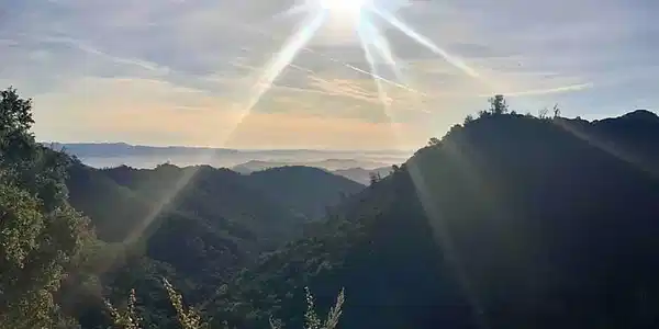 4850 Davis Canyon