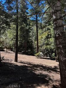 1221 Azalea Dr