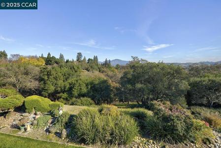 1429 Skycrest Dr