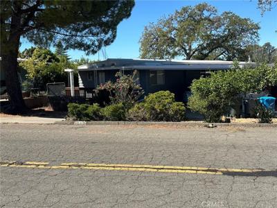 513 Silver Leaf Drive
