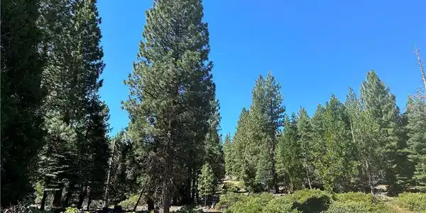 1 Canyon Creek Rd