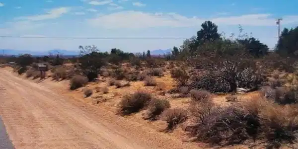 5630105 BROWN RD