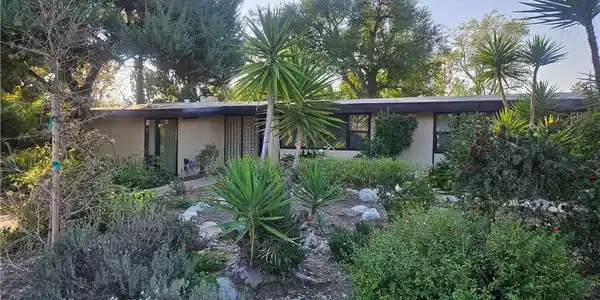 4505 Rhodelia