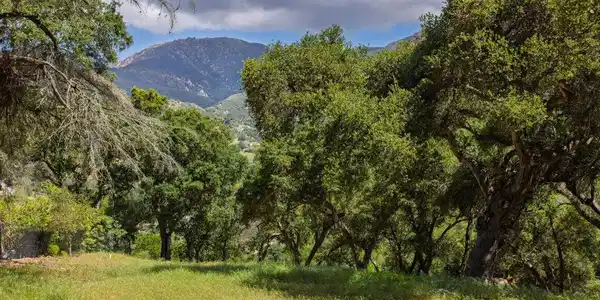 1208 Las Alturas Road