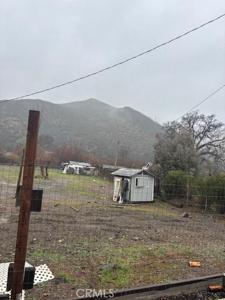 16155 Quail
