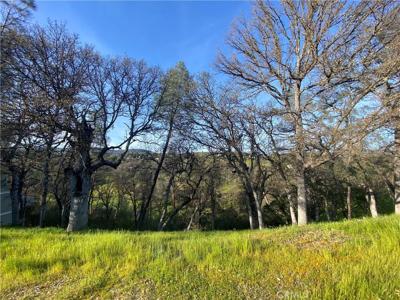 20979 Powder Horn Road