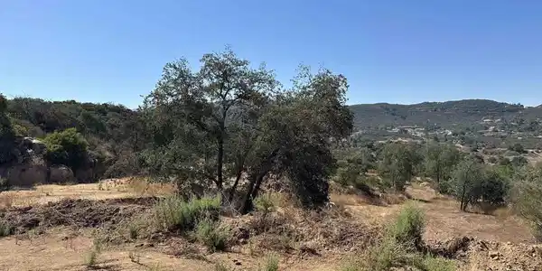 16223 Lawson Valley Road
