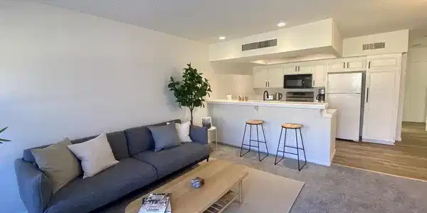 1655 E Palm Canyon Drive