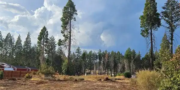 6323 Ponderosa