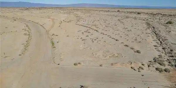1918 Desert King Ave
