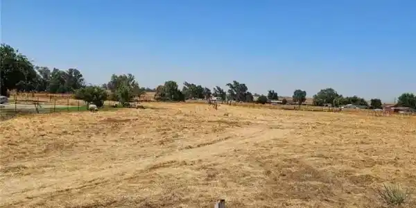 0 Los Olivos