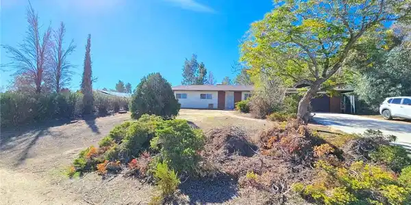 16376 Alviso