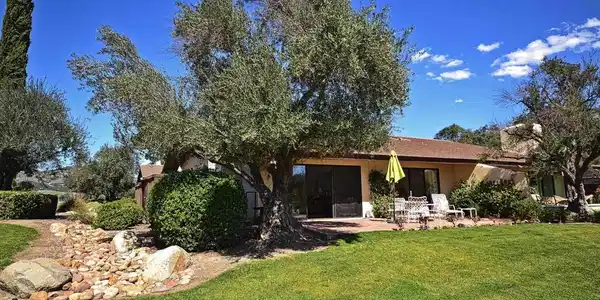 32915 Temet Dr