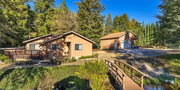 323 Alder