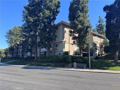 3241 San Amadeo