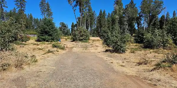 1533 Forest Service Rd