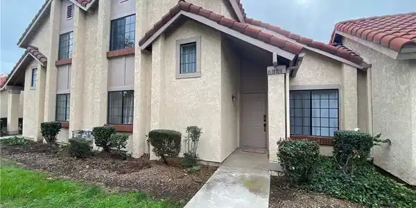 10816 Loro Verde
