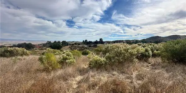 0 Pine Canyon