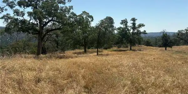 0 Lilley Mountain
