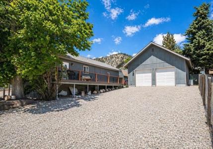 4141 Maple