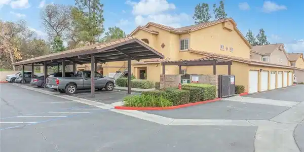 41410 Juniper #721