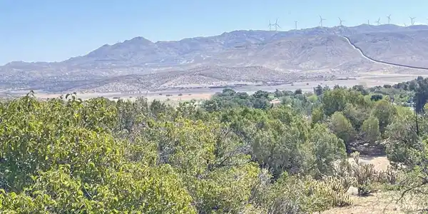 16 .44 Acres Boundary Creek