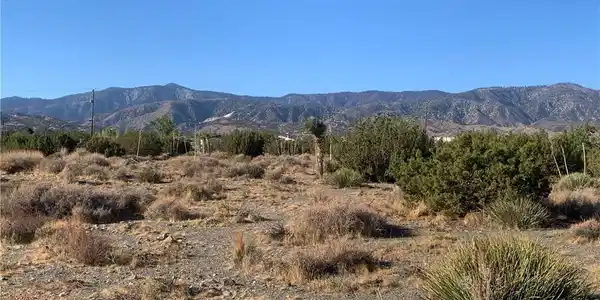 0 Yucca Terrace