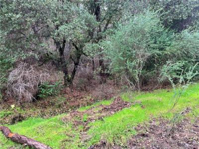 12215 Mountain View Drive