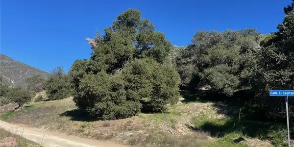1 COR EL CAPITAN LOMITA