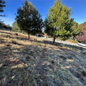7826 Evergreen Drive