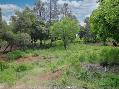 3210 Skyline Drive