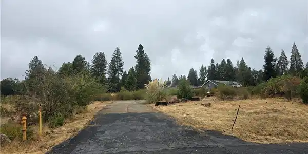 6167 Ponderosa