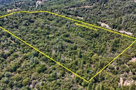 0 44.51 AC Leaning Pine Way