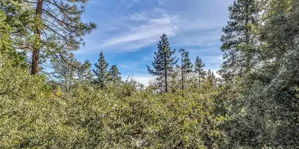 0 Jeffery Pine Rd.