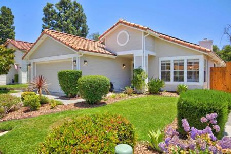 2110 Shadetree