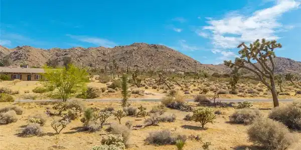 1234 Pueblo Trail