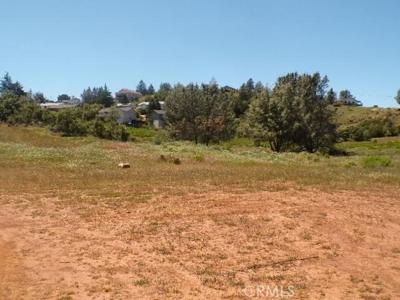 10919 point lakeview Road
