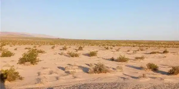 0 Jojoba Drive