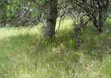 15709 Cache Creek Road