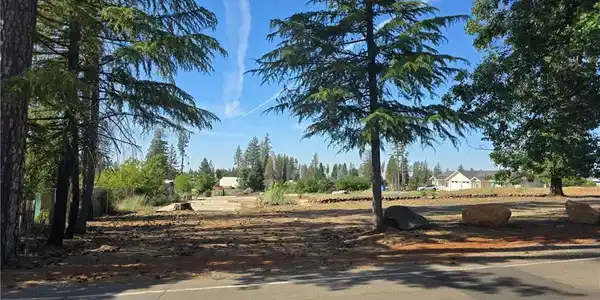958 Bille Road