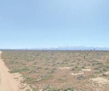 0 Cactus Road