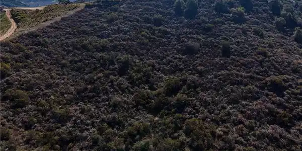 0 Via Cantamar