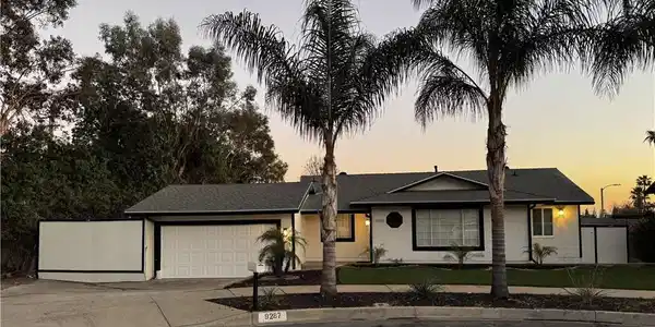 9287 Persimmon