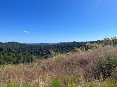 Bear Creek Road